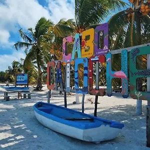 mi-habitat-holbox-maravilla-natural.quintano-roohotels.com/